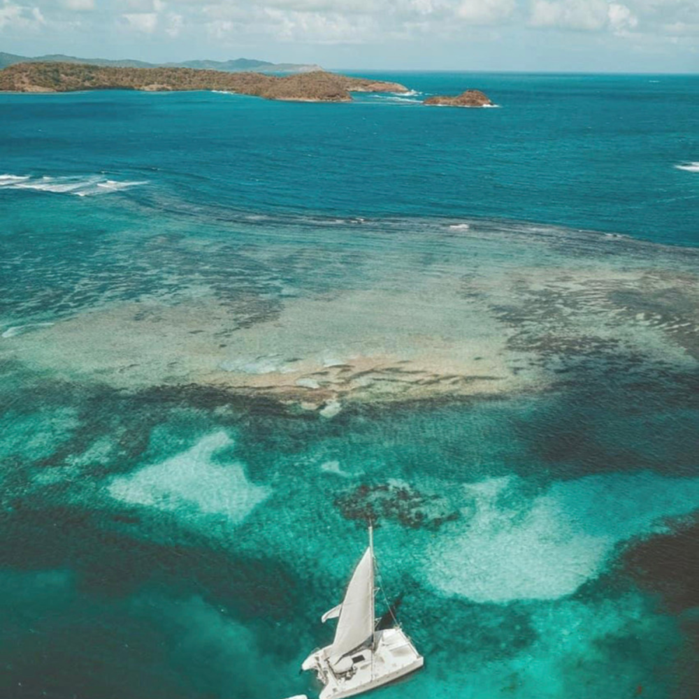 Journée catamaran fond blanc baignoire de Joséphine – Image 10